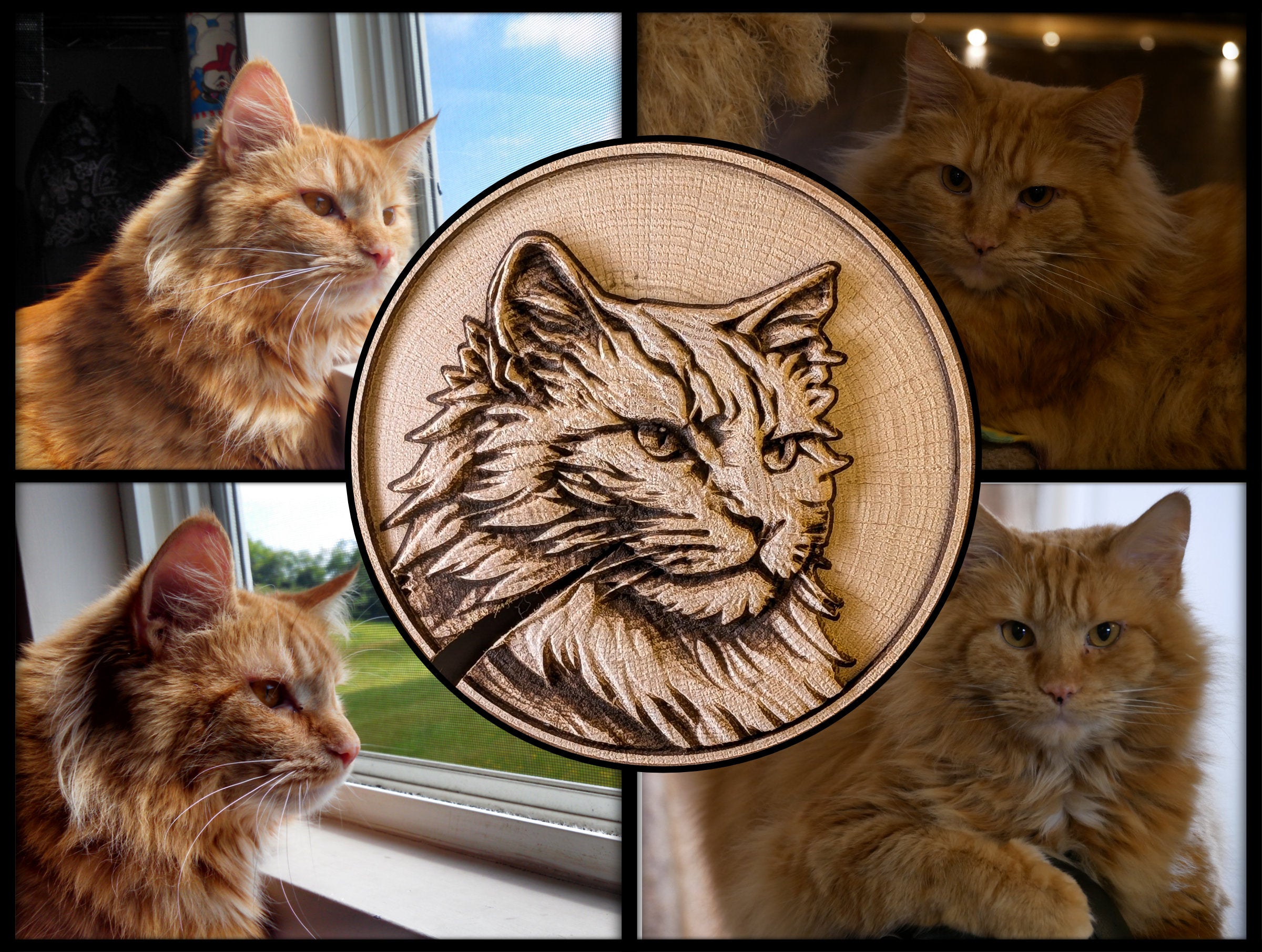 Custom Pet - Premium