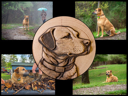 Custom Pet - Premium