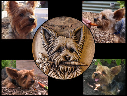 Custom Pet - Premium
